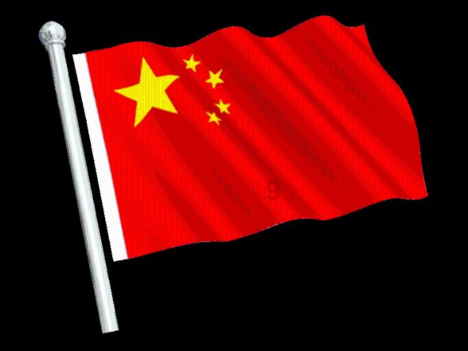 动物帮帮忙保卫家园
